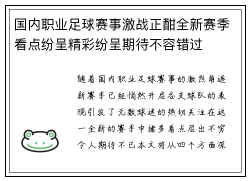 国内职业足球赛事激战正酣全新赛季看点纷呈精彩纷呈期待不容错过