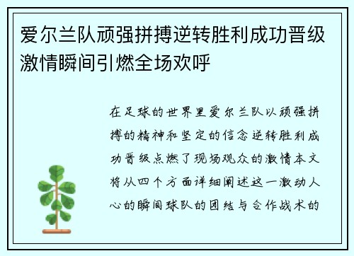 爱尔兰队顽强拼搏逆转胜利成功晋级激情瞬间引燃全场欢呼