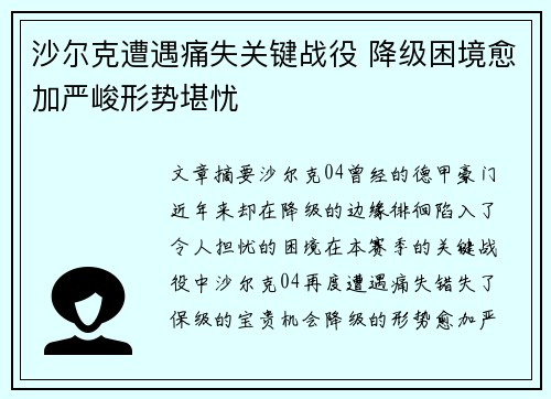 沙尔克遭遇痛失关键战役 降级困境愈加严峻形势堪忧