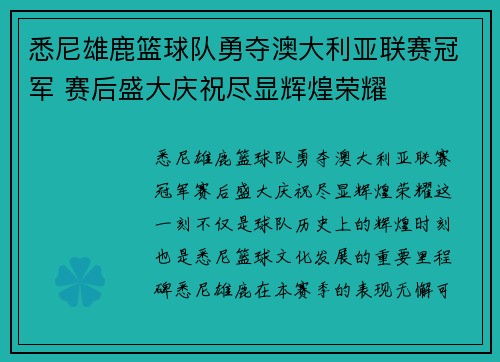 悉尼雄鹿篮球队勇夺澳大利亚联赛冠军 赛后盛大庆祝尽显辉煌荣耀