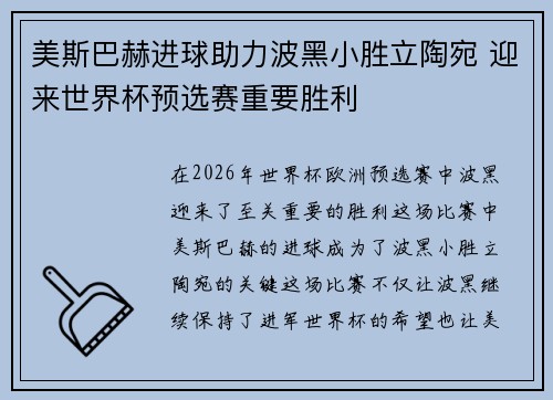 美斯巴赫进球助力波黑小胜立陶宛 迎来世界杯预选赛重要胜利