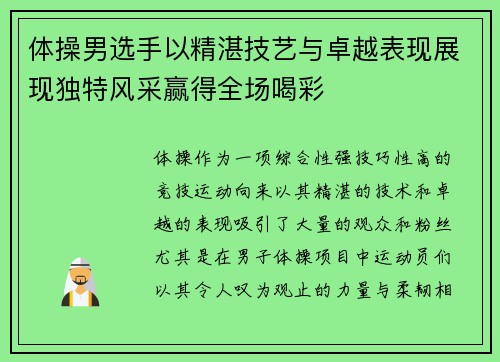 体操男选手以精湛技艺与卓越表现展现独特风采赢得全场喝彩