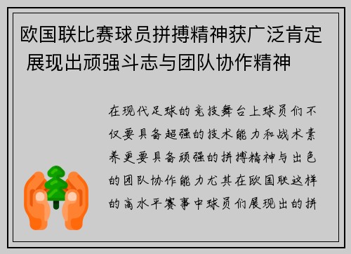 欧国联比赛球员拼搏精神获广泛肯定 展现出顽强斗志与团队协作精神